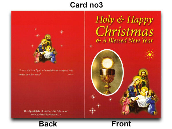 Catholic Charity Christmas Cards Pack