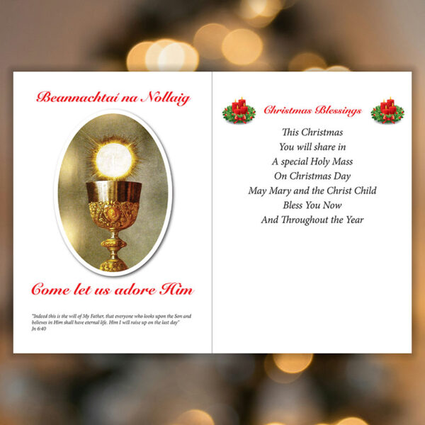 Bible Quotes for inside Christmas Card